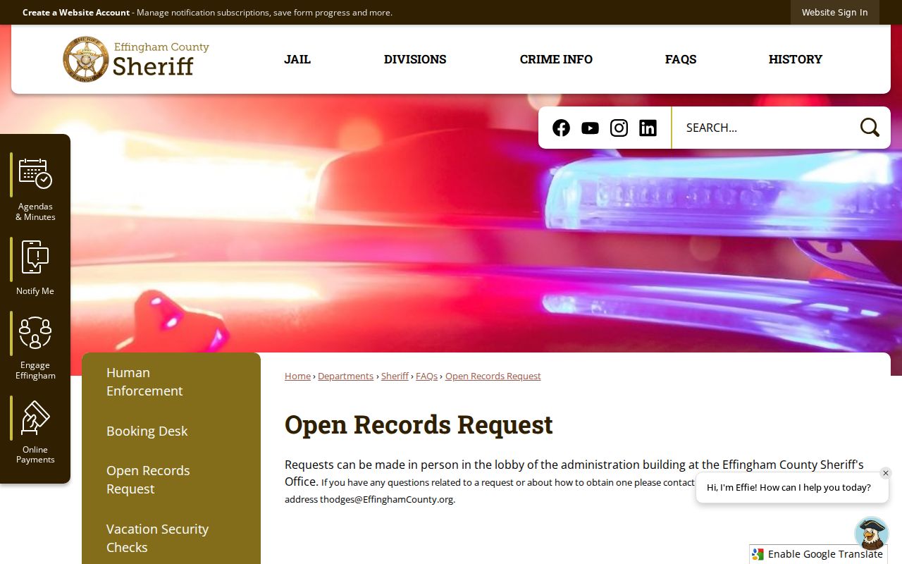 Effingham County arrest history open records request